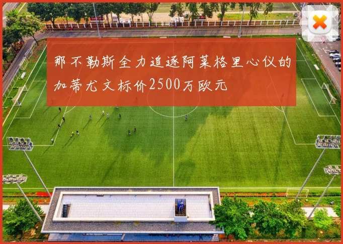 那不勒斯全力追逐阿莱格里心仪的加蒂尤文标价2500万欧元